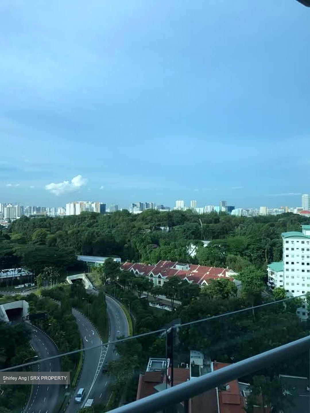 Cairnhill Crest (D9), Condominium #553754861